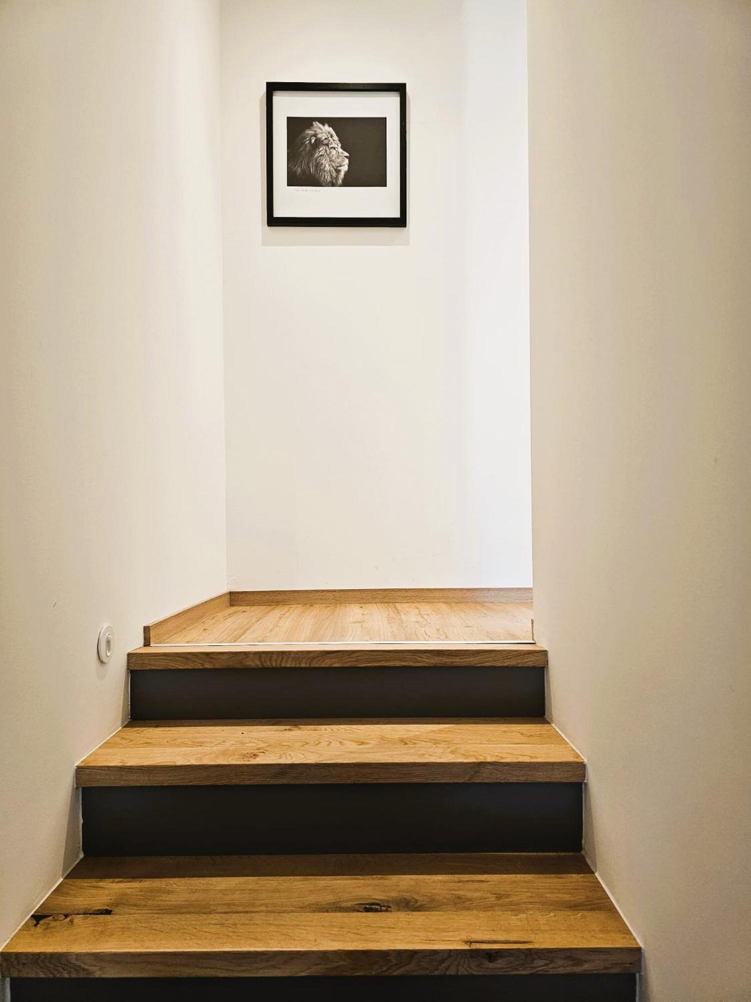Lions Place Premium Apartments Comfort Optionaler Zugang Zum Spa- Bereich ไฮเดนไฮม์ อันแดร์ เบรนซ์ ภายนอก รูปภาพ