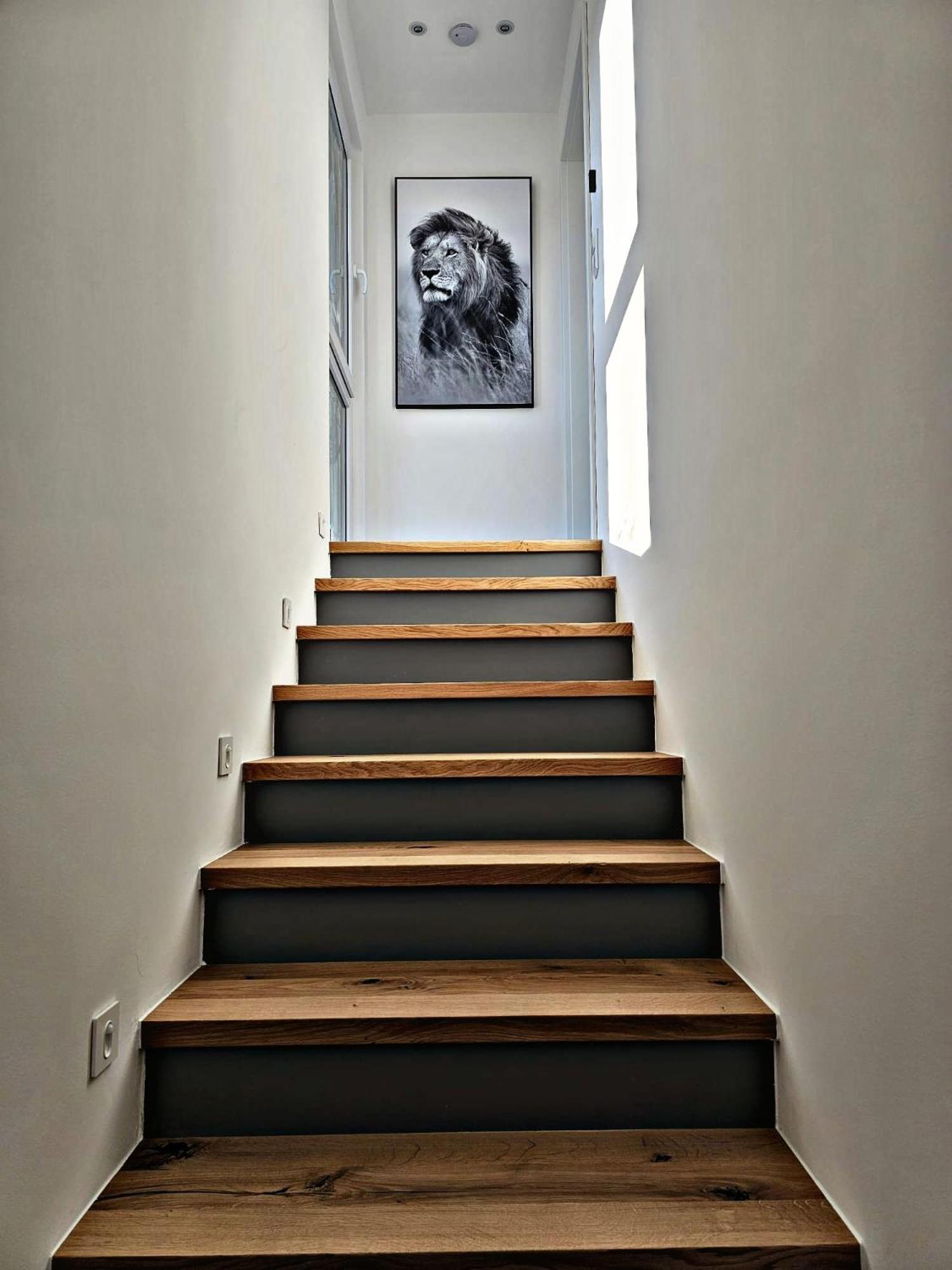 Lions Place Premium Apartments Comfort Optionaler Zugang Zum Spa- Bereich ไฮเดนไฮม์ อันแดร์ เบรนซ์ ภายนอก รูปภาพ