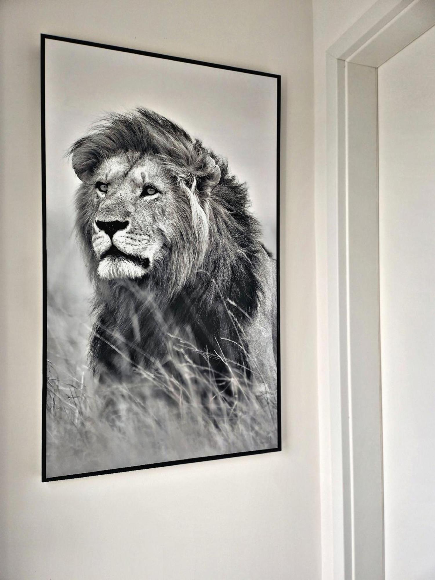 Lions Place Premium Apartments Comfort Optionaler Zugang Zum Spa- Bereich ไฮเดนไฮม์ อันแดร์ เบรนซ์ ภายนอก รูปภาพ